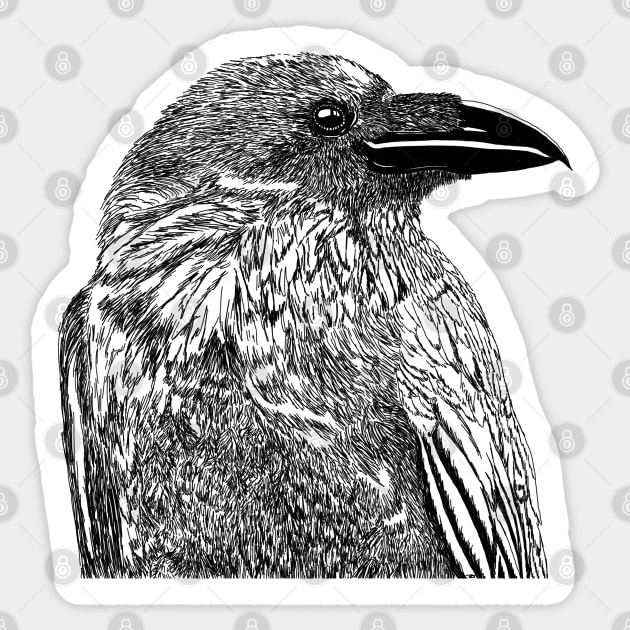 Raven Illustration Sticker by H. R. Sinclair